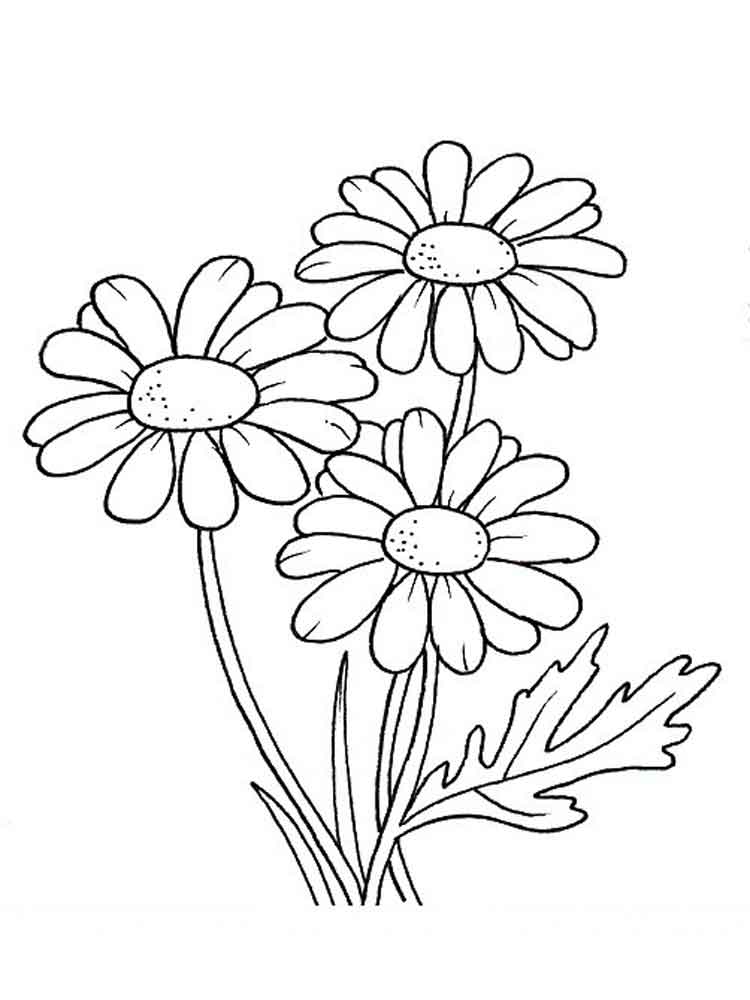 Страница за оцветяване на три цвете маргаритки